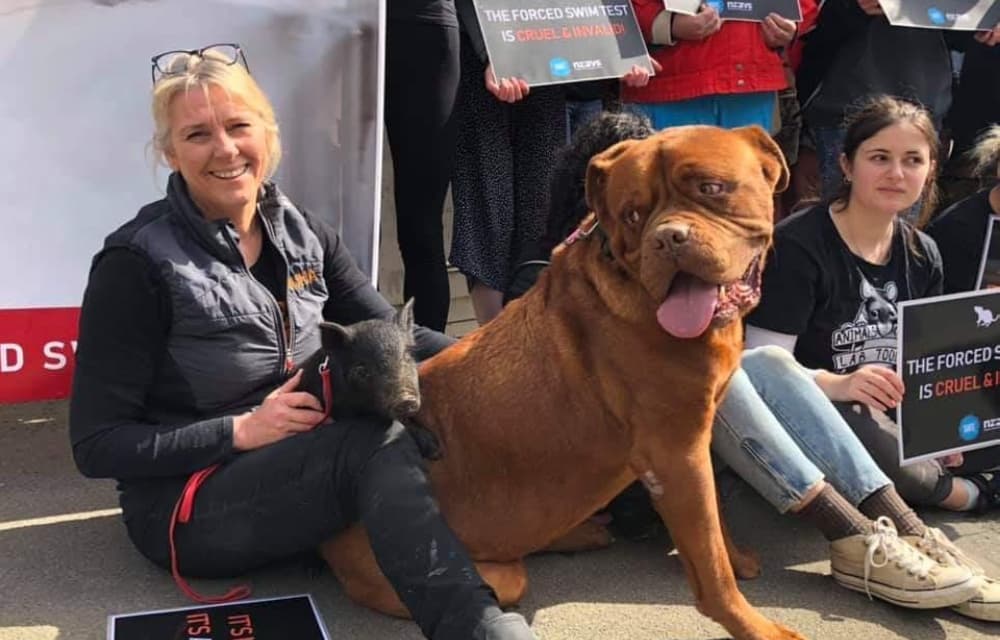Happy Huha team member sitting with a little black piglet and a big ginger dog in her lap