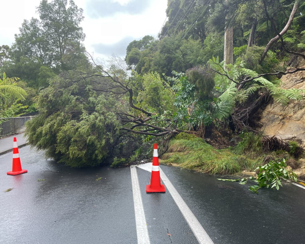 Landslide tree and earth debris on the road, cordoned off by orange cones