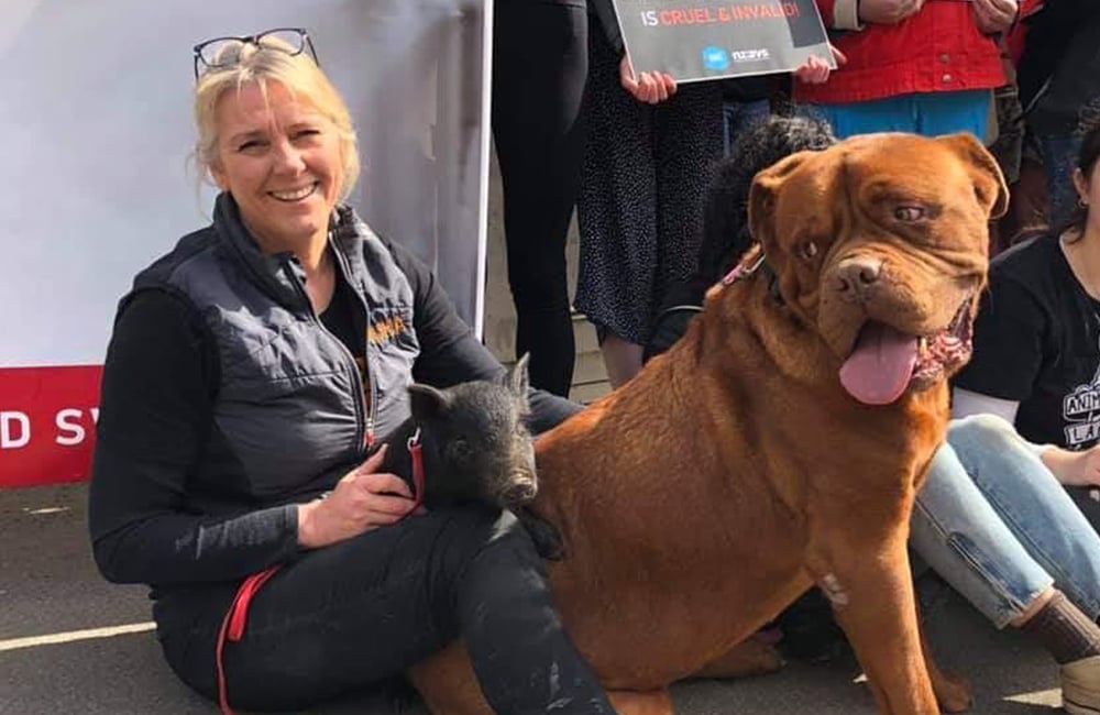 Happy Huha team member sitting with a little black piglet and a big ginger dog in her lap