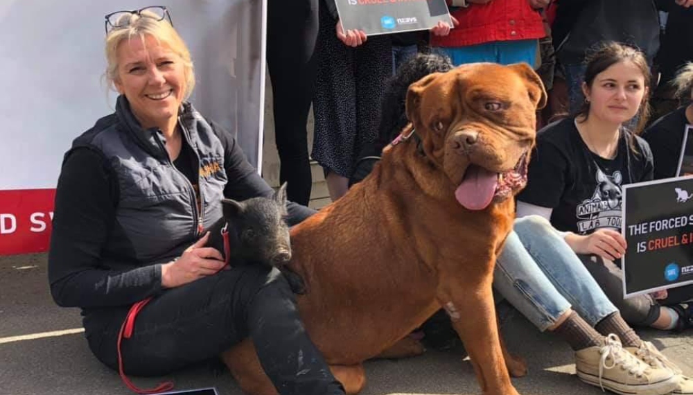 Happy Huha team member sitting with a little black piglet and a big ginger dog in her lap