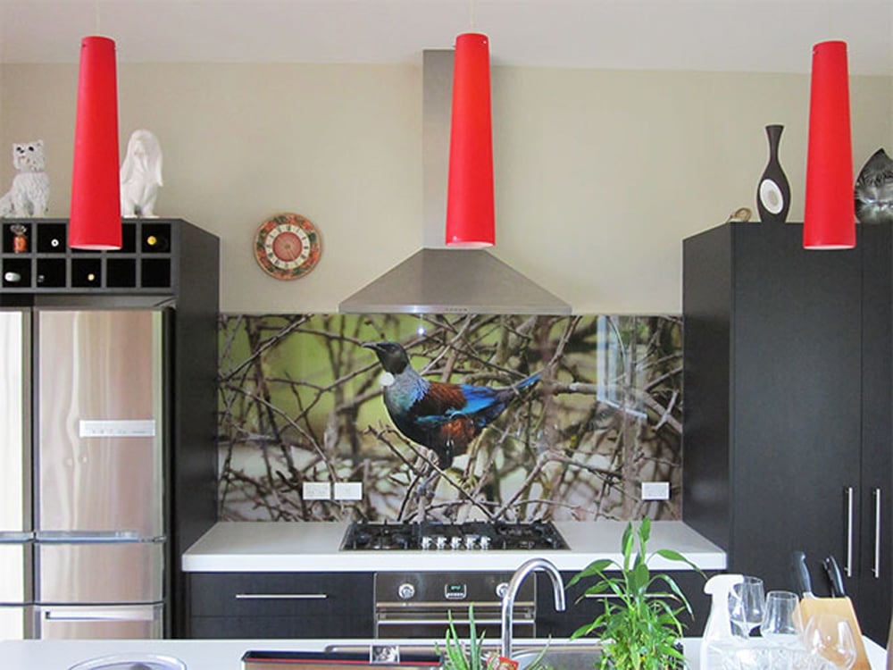 Kitchen with black cabinetry, bright red lights handing from the ceiling, and a nature splashback with a vibrant tui amongst tree branches on it