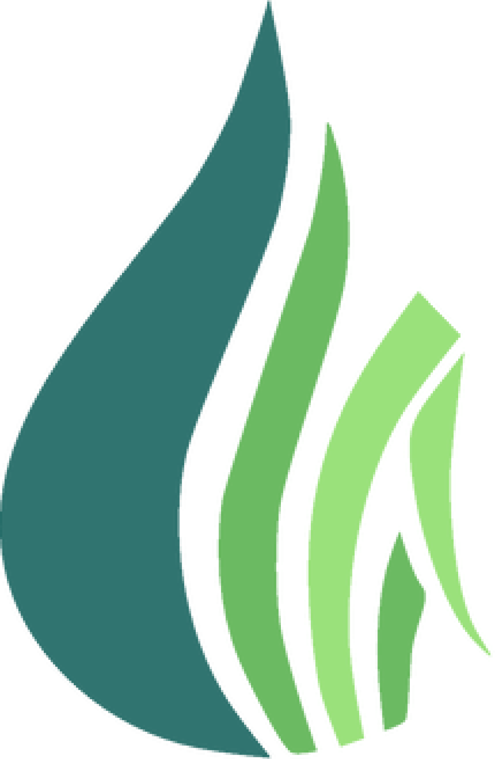 irrigation system design waikato