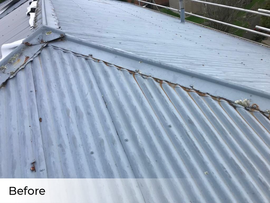 roofing services west auckland