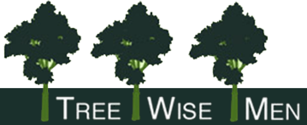 Tree Wise Men