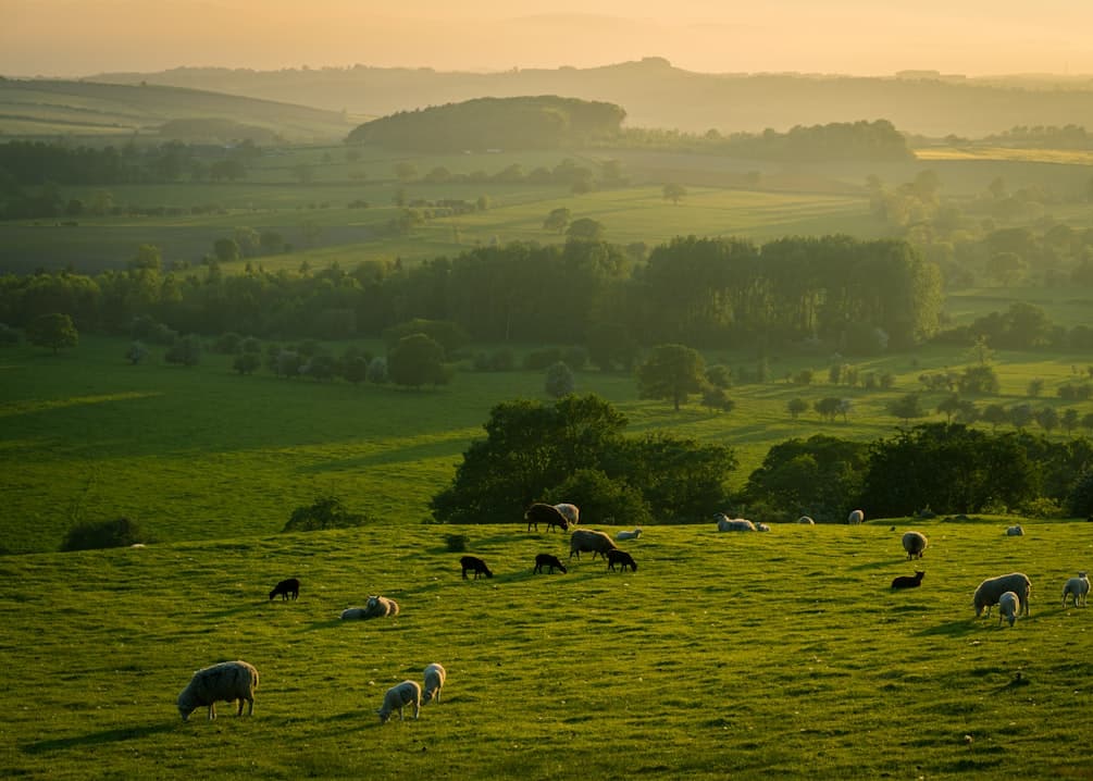 wakefields lawyers rural law page link