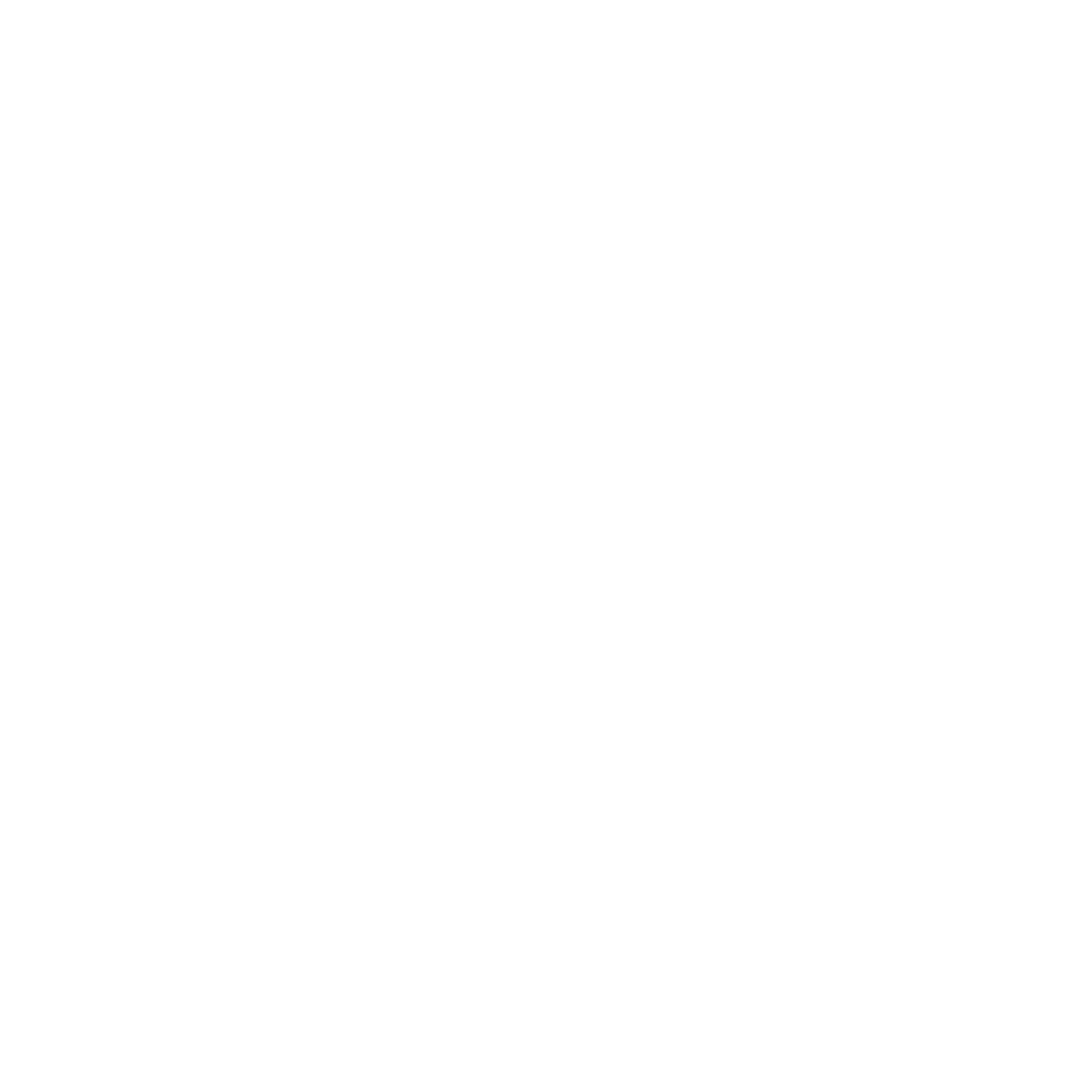 Nikau Foundation Logo