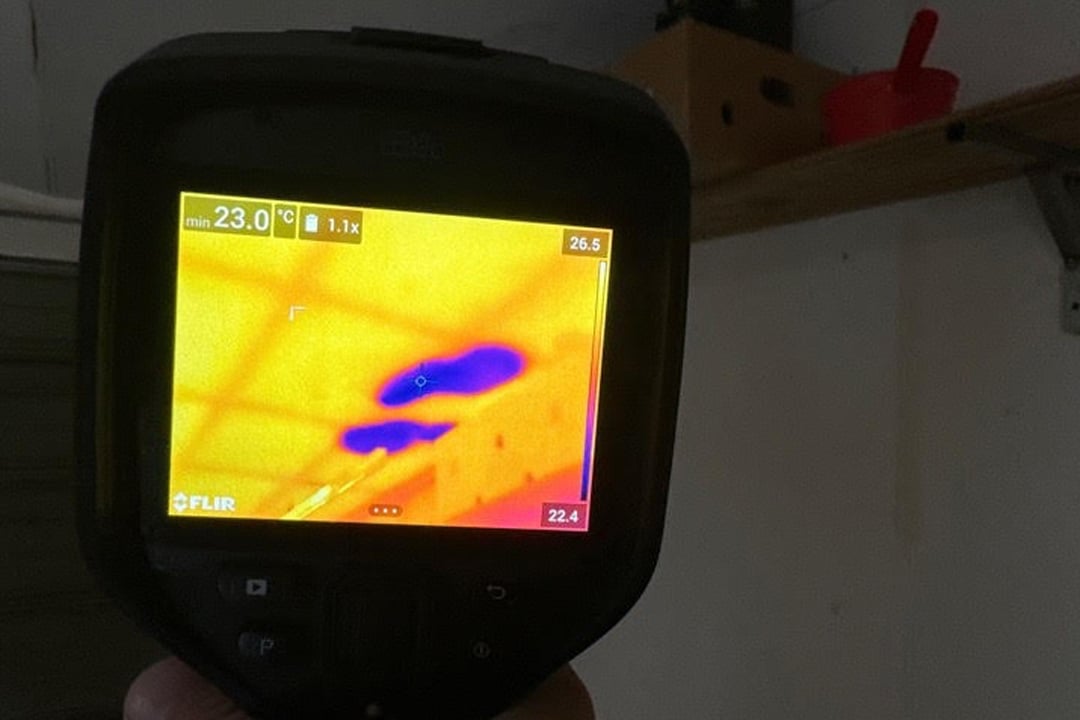 Red Flags in NZ Homes: Spotting Weathertightness Issues Before They Cost You