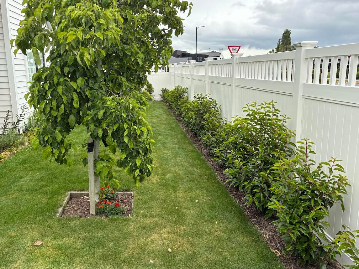 Flawless tall white fence giving privacy to the front yard of a small brick house with a concrete tile walkway and a couple medium trees