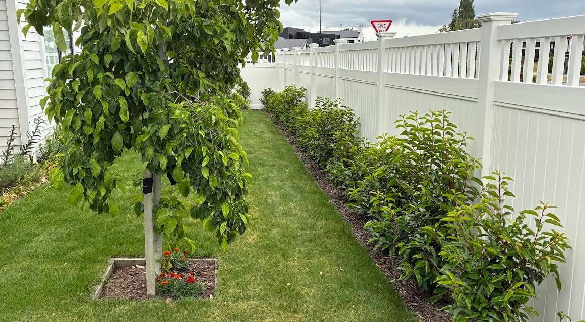 Flawless tall white fence giving privacy to the front yard of a small brick house with a concrete tile walkway and a couple medium trees
