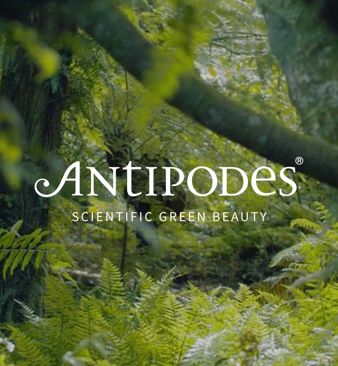 Antipodes Brand Logo amongst a New Zealand jungle with heaps of ferns, trees and greenery