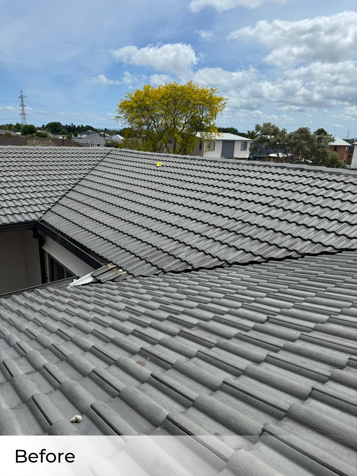 metal roof restoration west auckland
