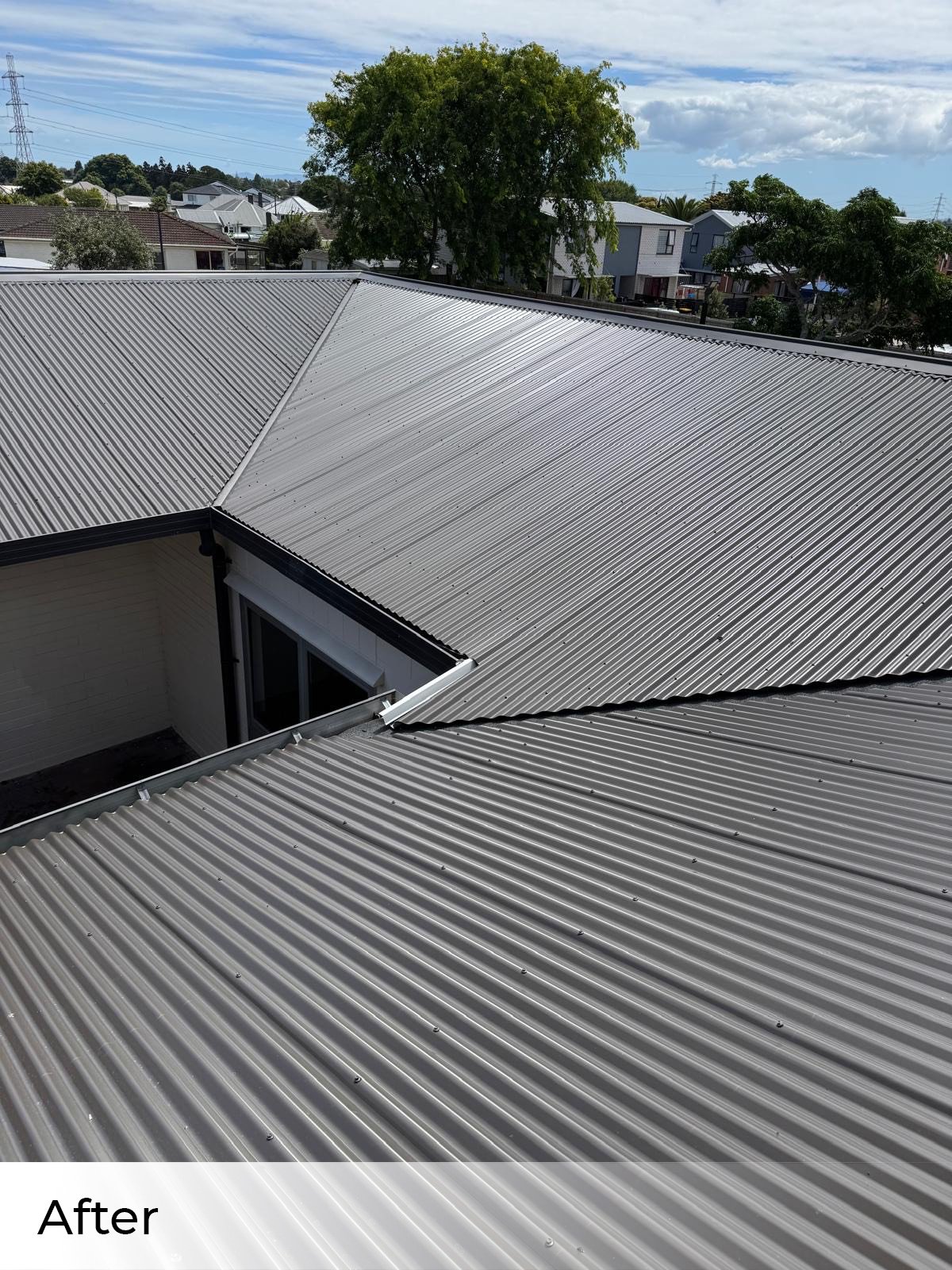 roof repairs west auckland