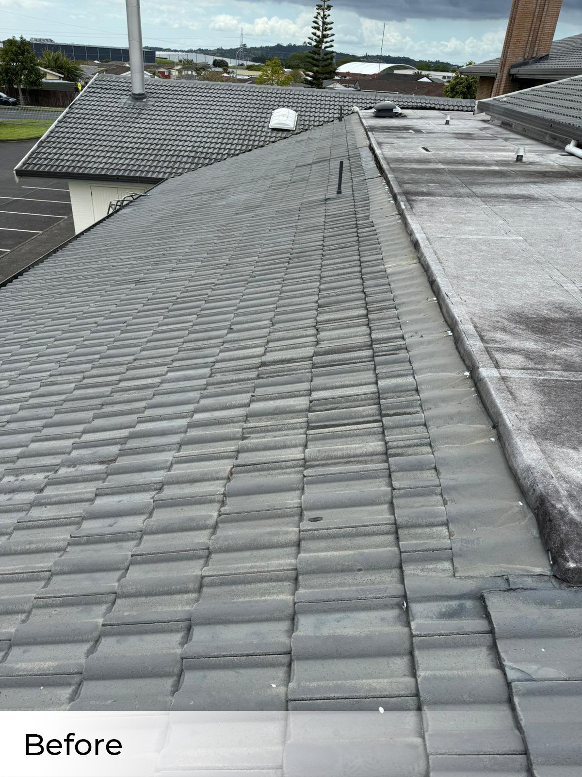 moss removal from roof west auckland
