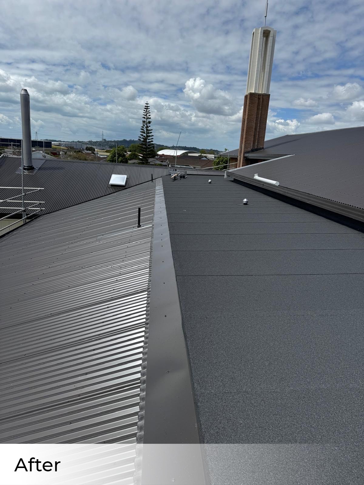 moss treatments west auckland