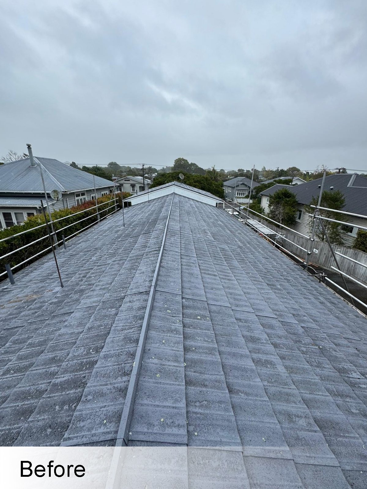 residential roof repair west auckland