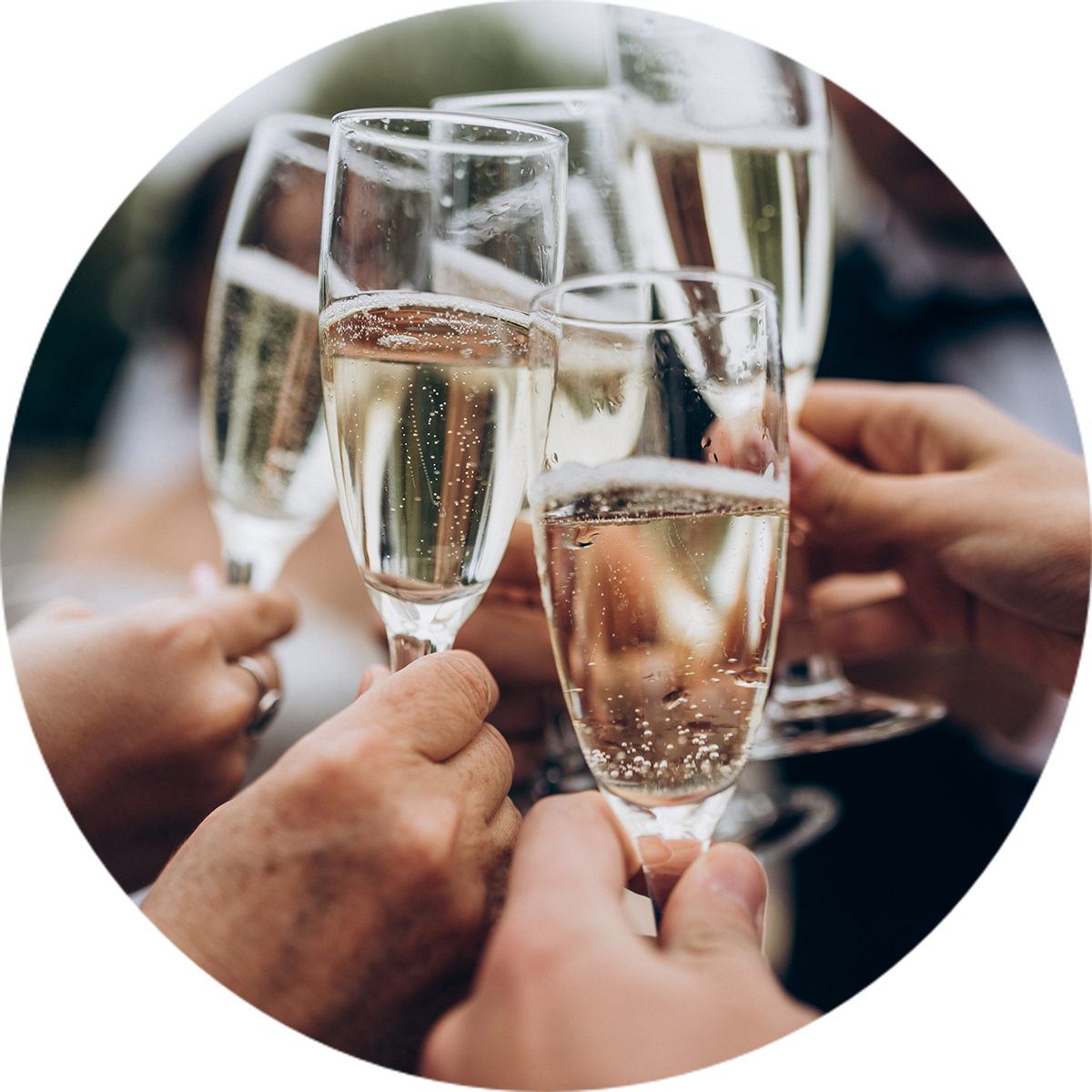 close up of 5 hands holding Champagne glasses cheersing together | Wedding Hire Levin