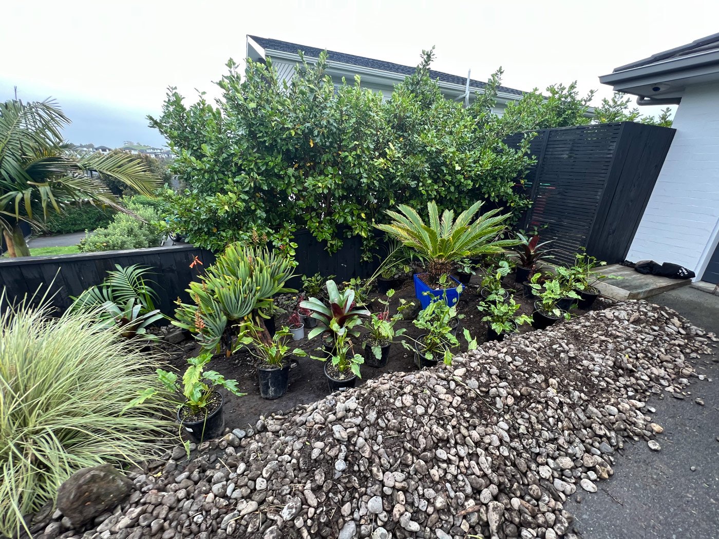 A dozen pot plants sitting on lowered ground ready to be surrounded by rocks and pebbles that are sitting on the driveway