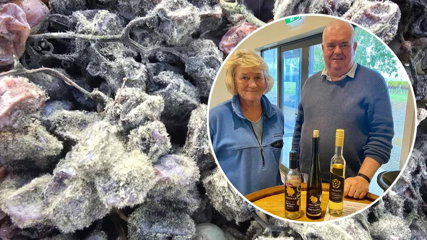 Hawke’s Bay Today Article