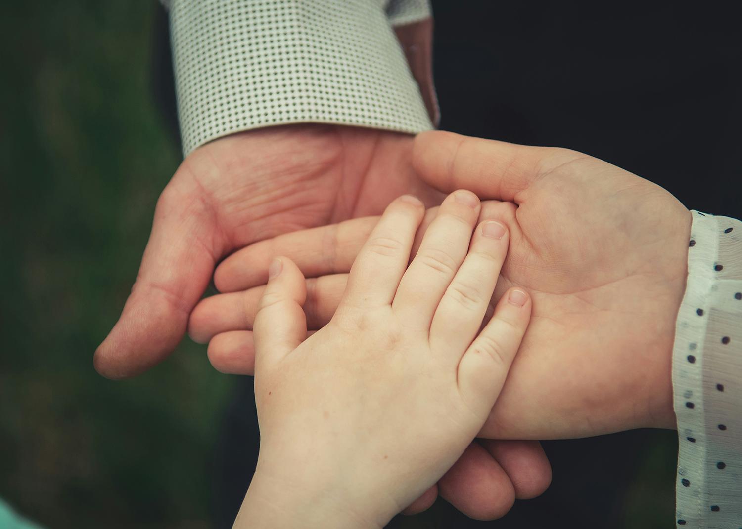 wakefields lawyers family law page link