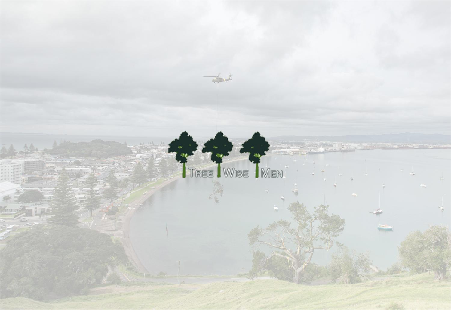 Specialist Tree Felling and Removal