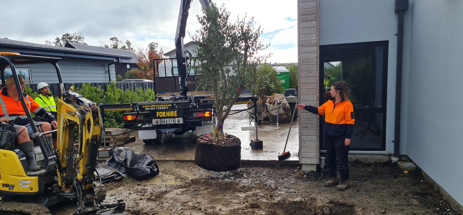 Specialised Services page link