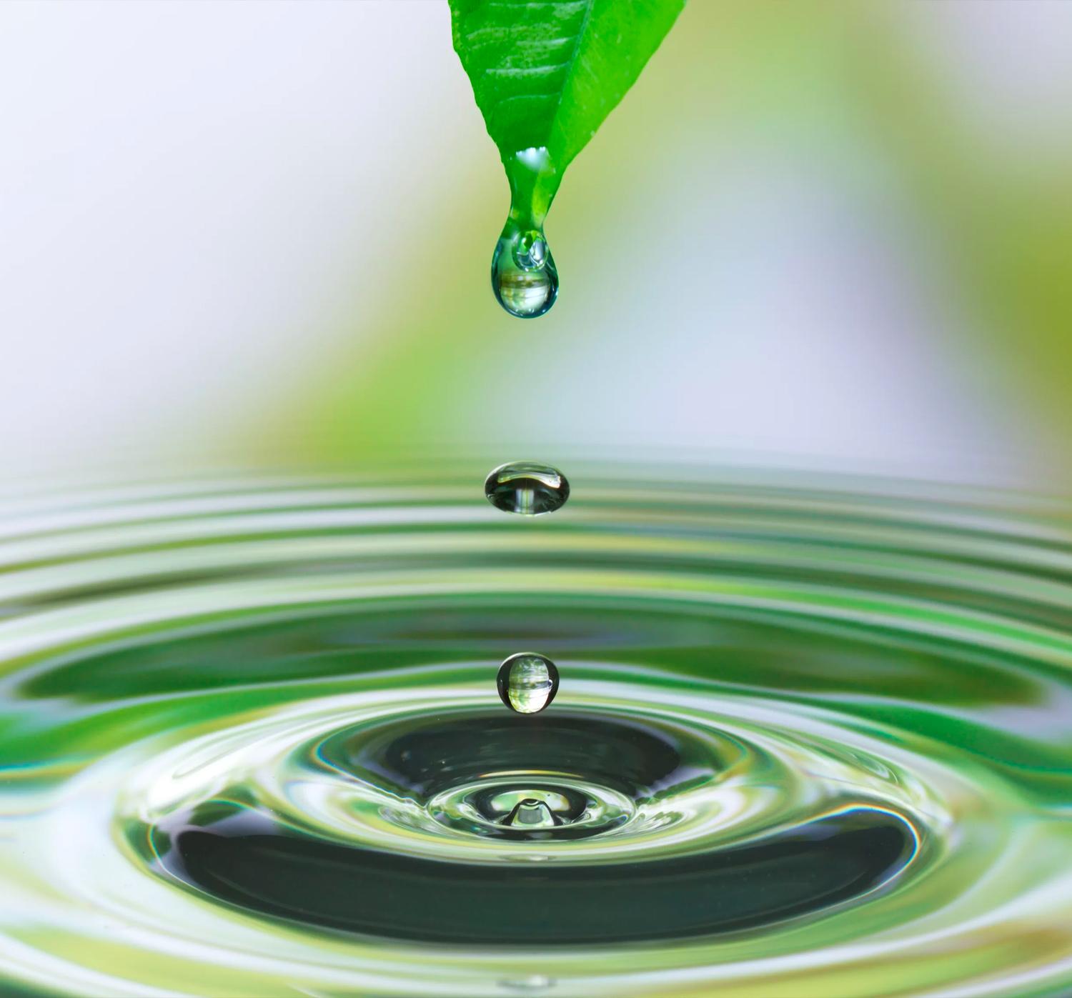 The Better Water Company raw water page link 