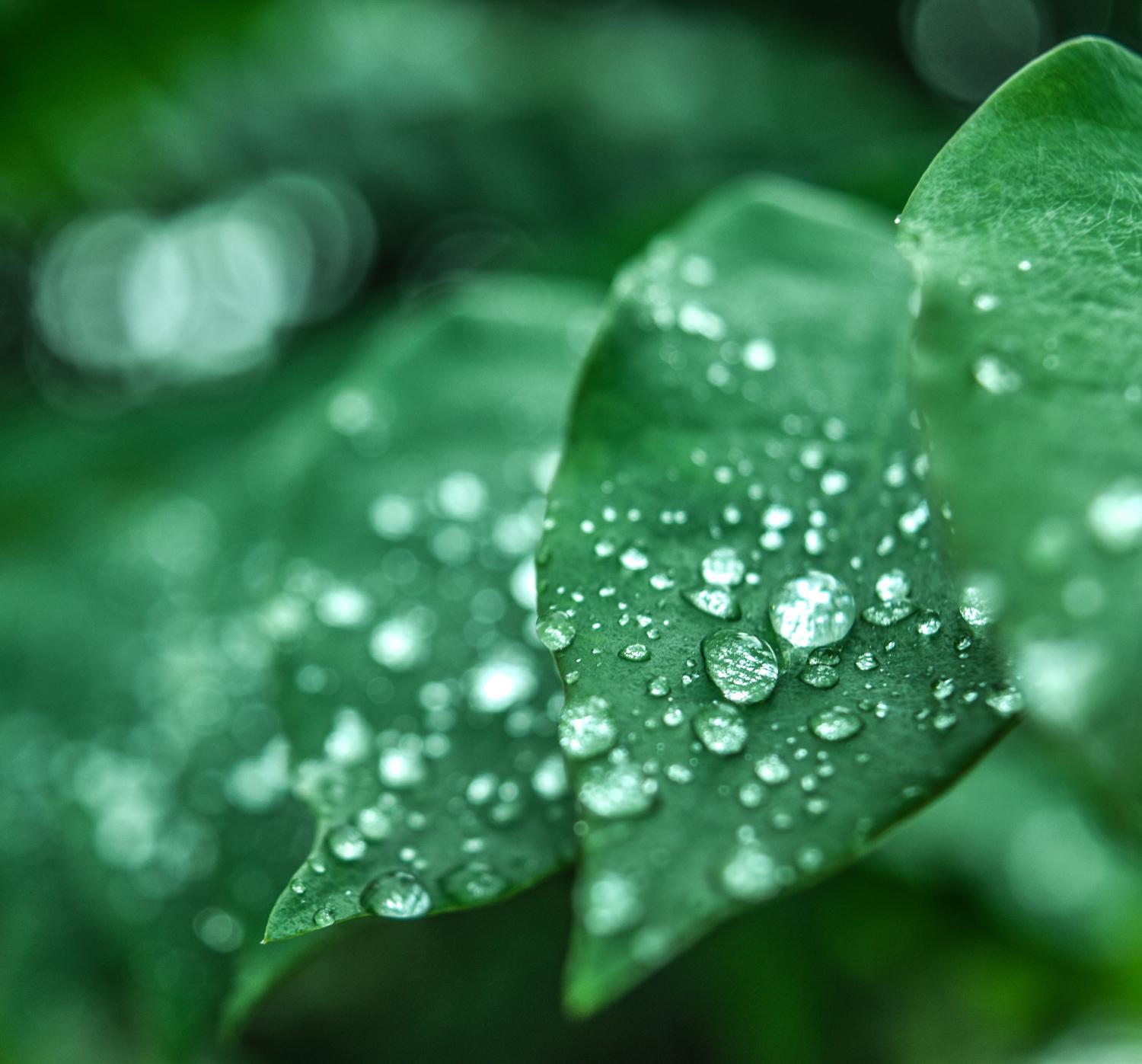 The Better Water Company town page link 