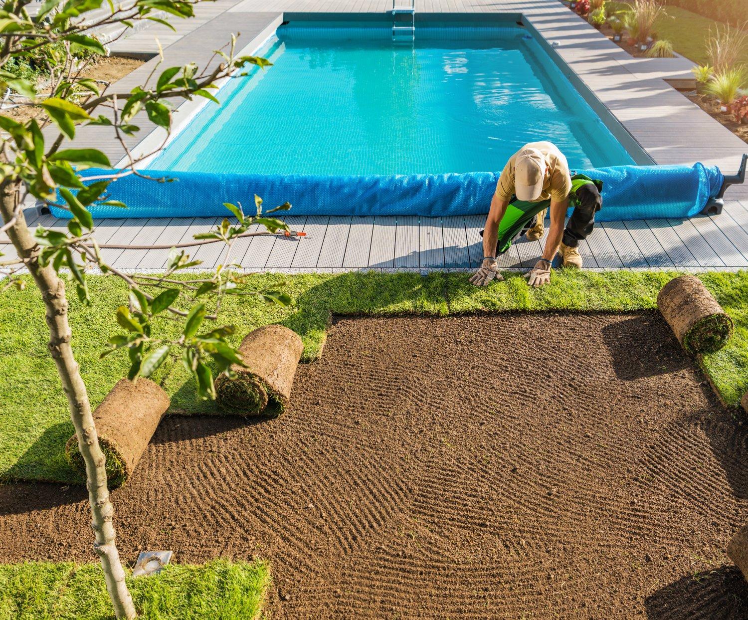 Wellington Lawn Specialists - ready lawn scp image