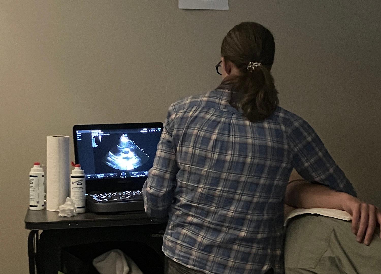 POCUS workshop ultrasound practise