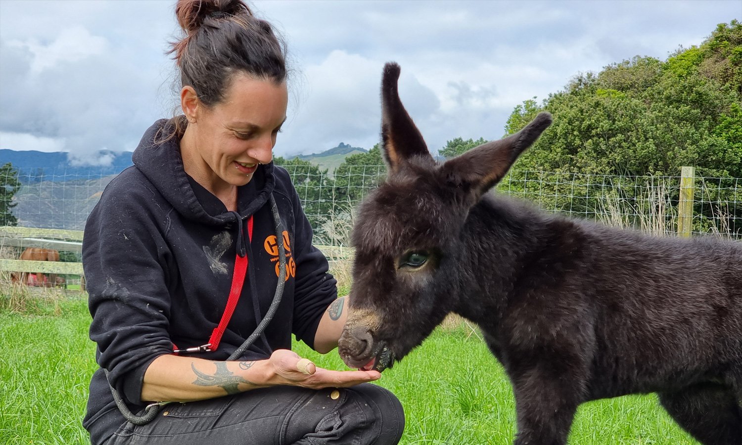 Animal Rehoming New Zealand