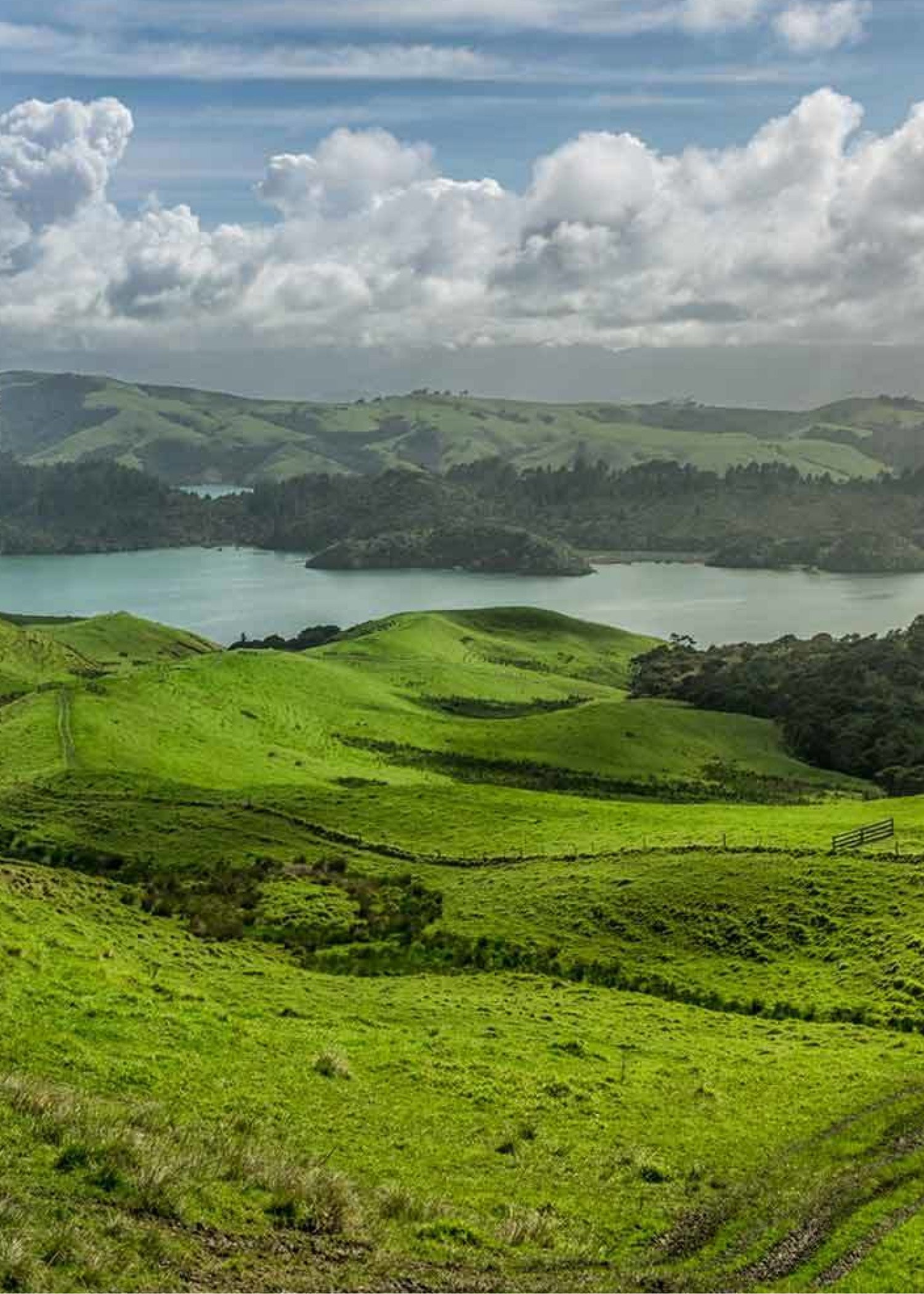 trusted-insurance-brokers-in-nz-greenlight