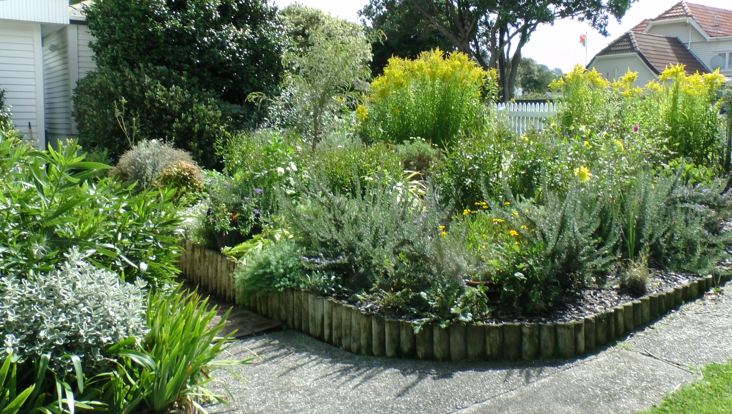 garden design wellington