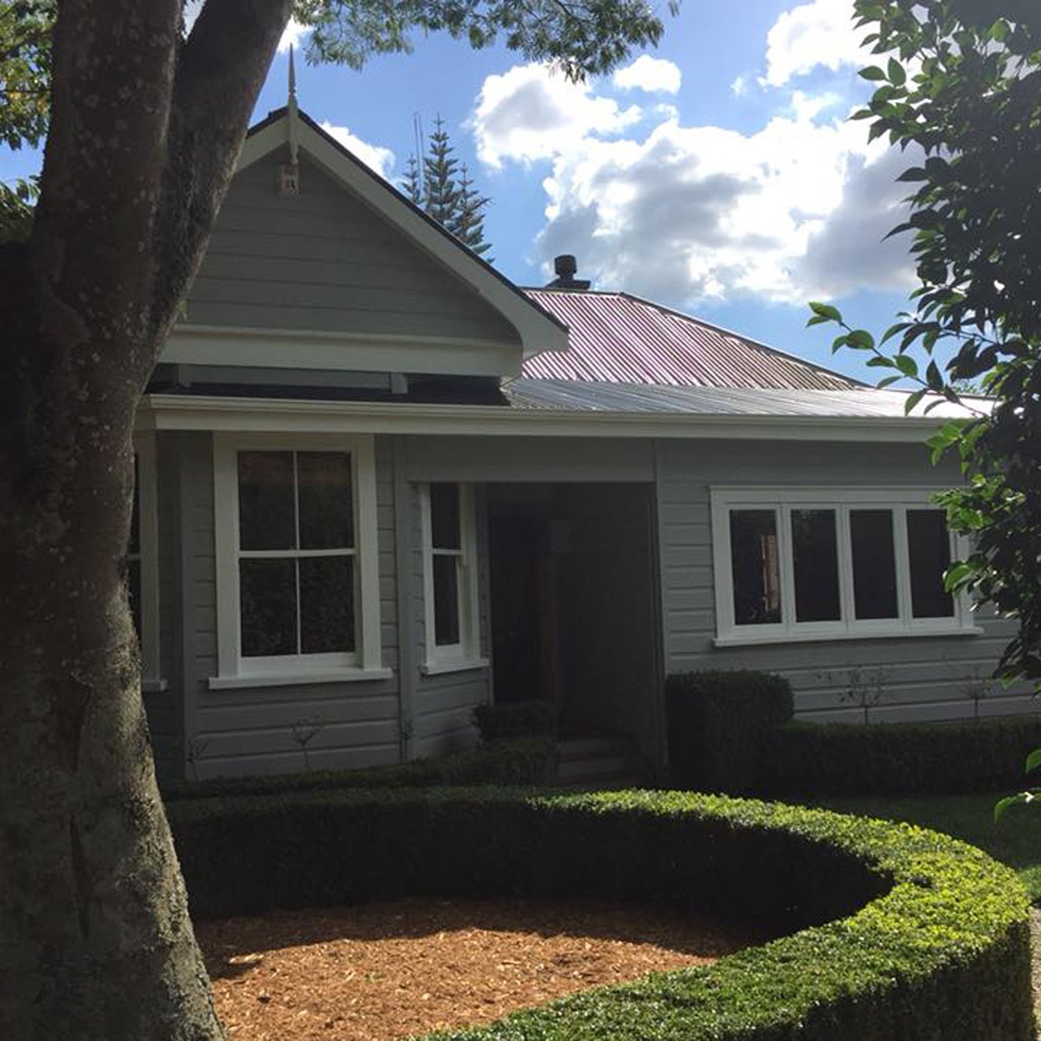 Light grey house exterior with white window frames and accents and a beautifully trimmed hedge and large tree in the front yard