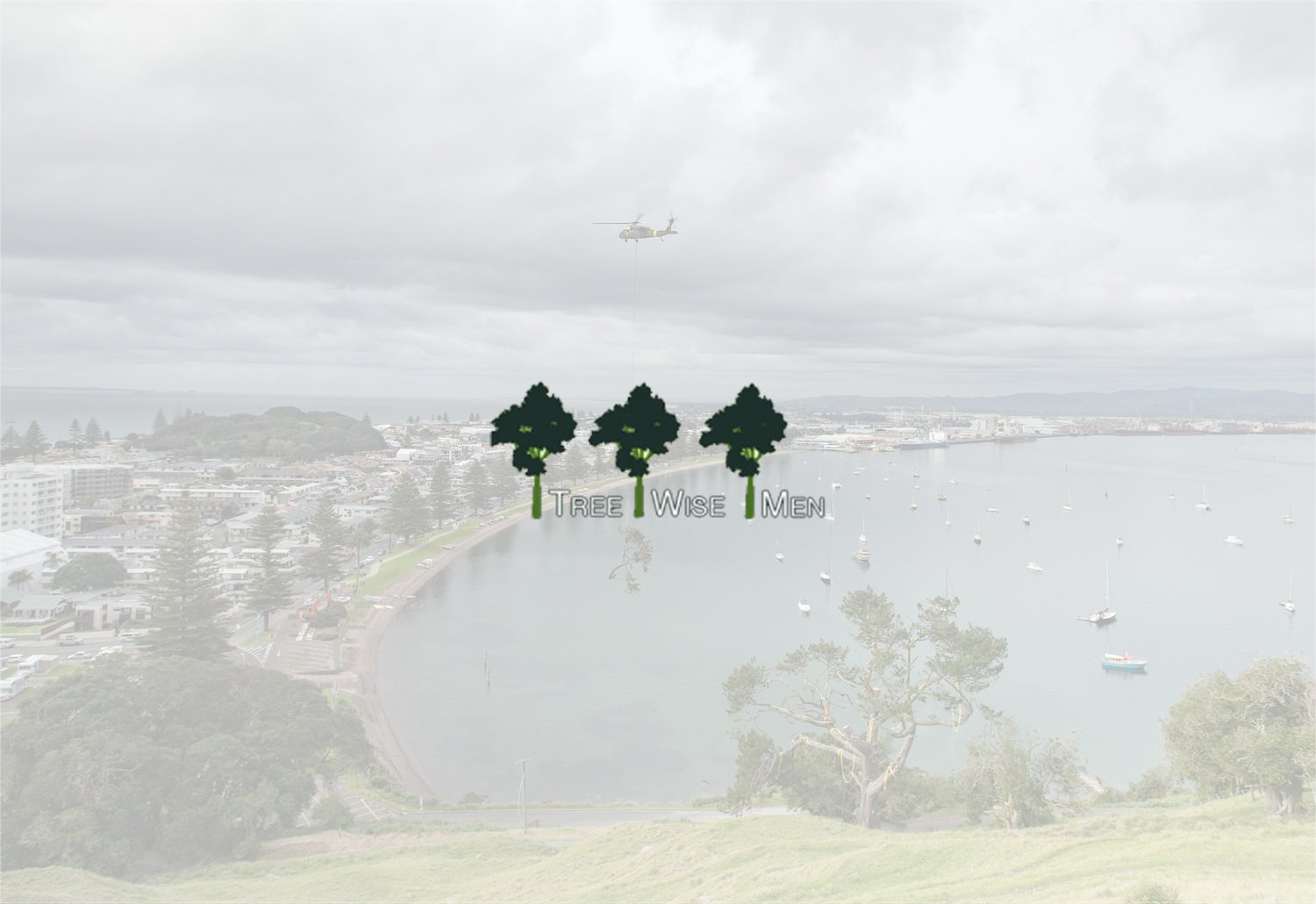 Specialist Tree Felling and Removal