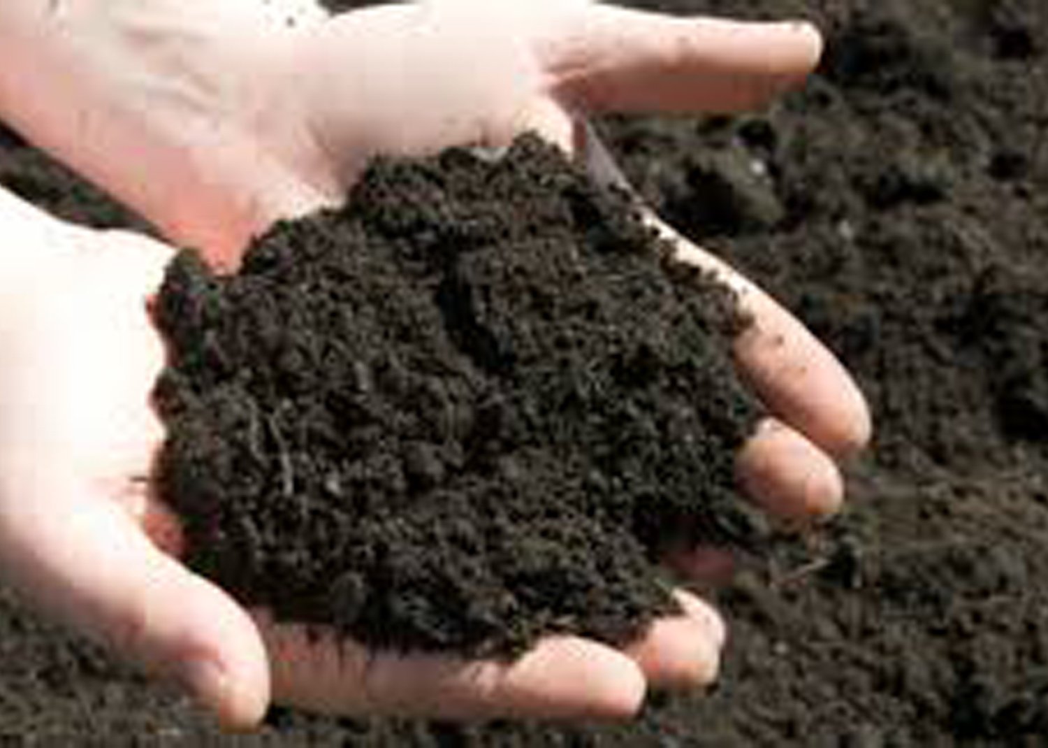 Top Quality Topsoil 