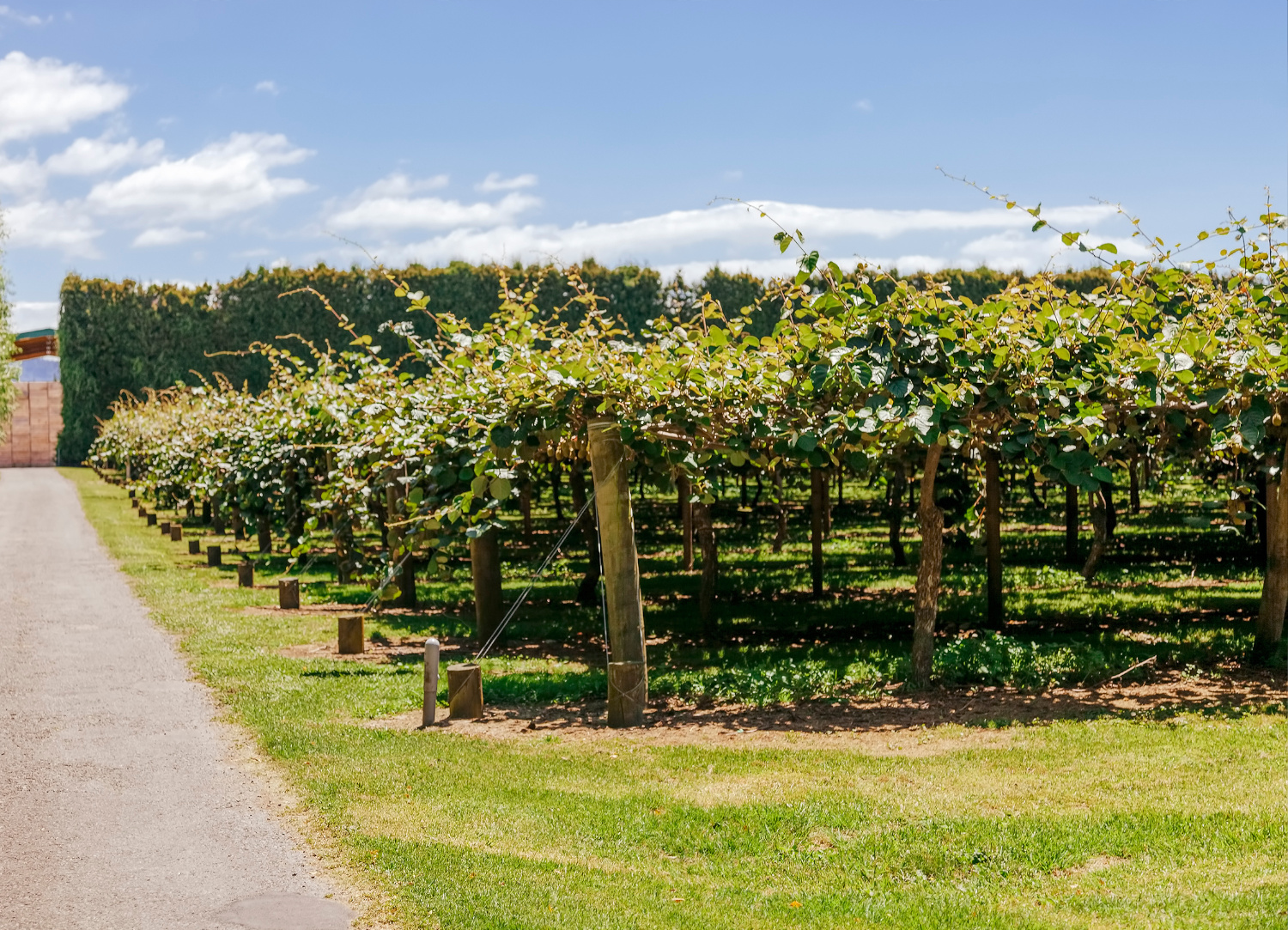 Rural Electrician page link 