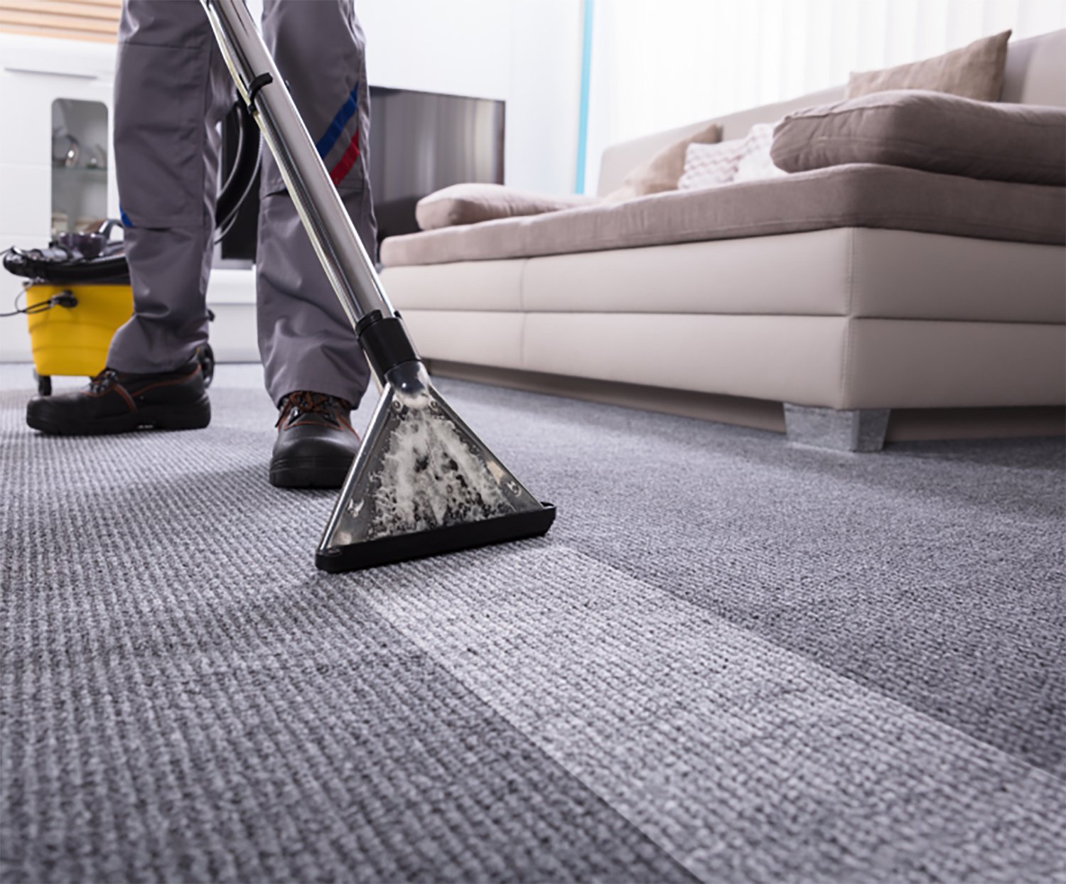 Western Cleaning Ltd Carpet Cleaning scp image