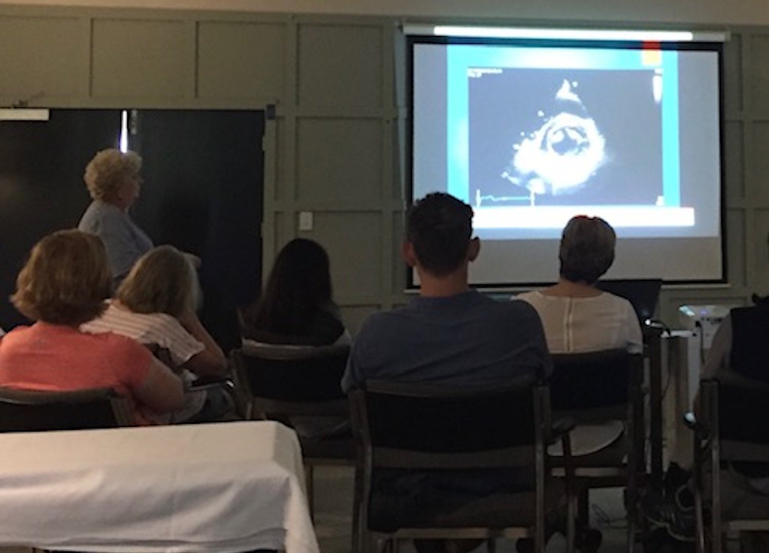 POCUS workshop with ultrasound on the screen