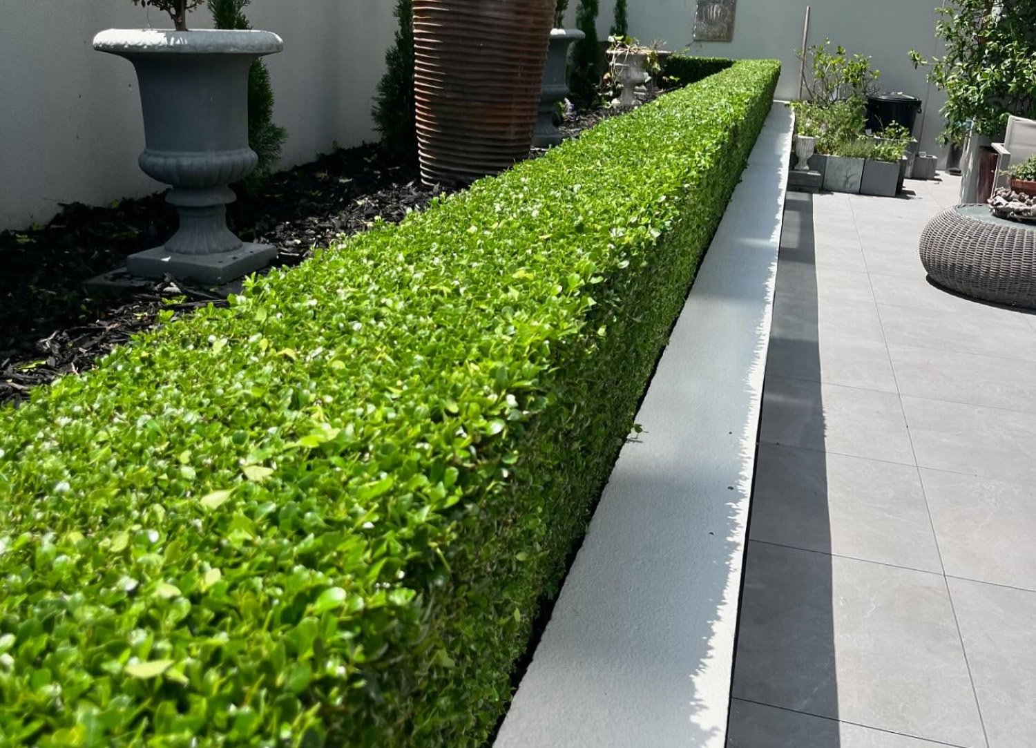 Arbor Artisan hedge trimming and maintenance scp image link