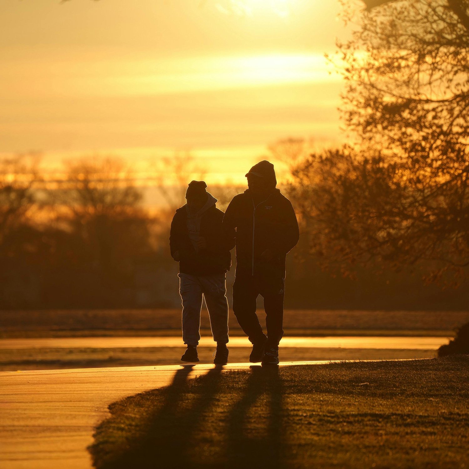 2026 at Hearing Auckland