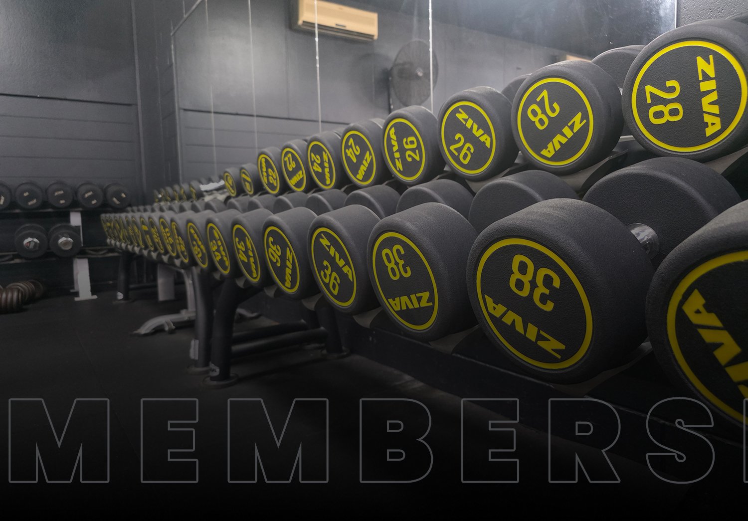 Golds Health and Fitness membership page image link