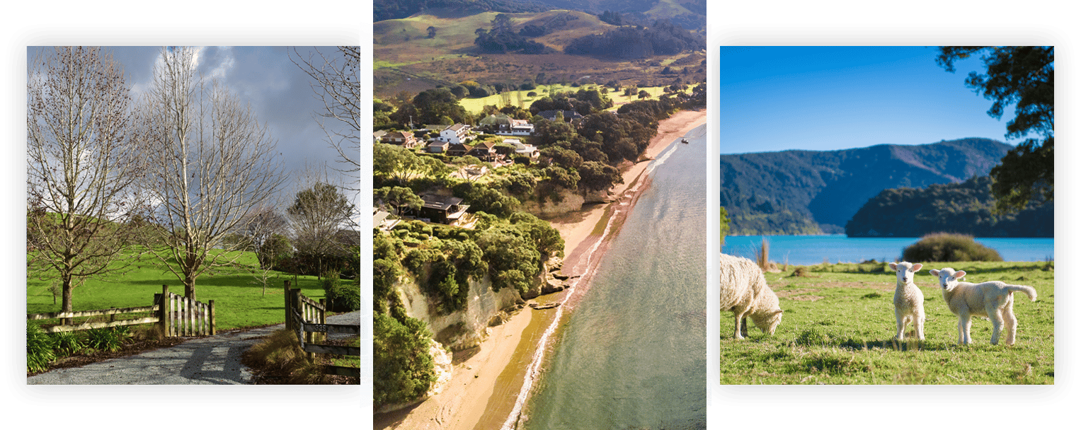 Lifestyle property gate with a long country driveway, drone-shot of the beach and its neighbouring properties, and a lakeside paddock with cute little white sheep
