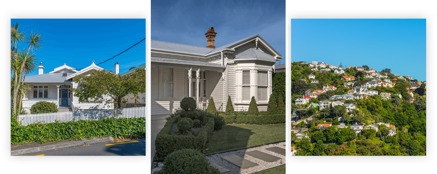 Several mid to high-end Auckland residential properties with flawless paintjobs and well-kept gardens