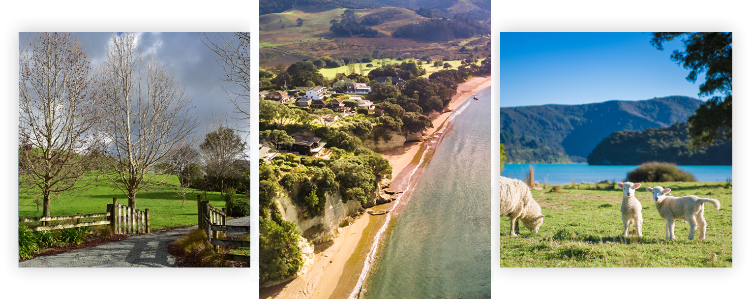 Lifestyle property gate with a long country driveway, drone-shot of the beach and its neighbouring properties, and a lakeside paddock with cute little white sheep