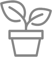 Grey outline of a plant