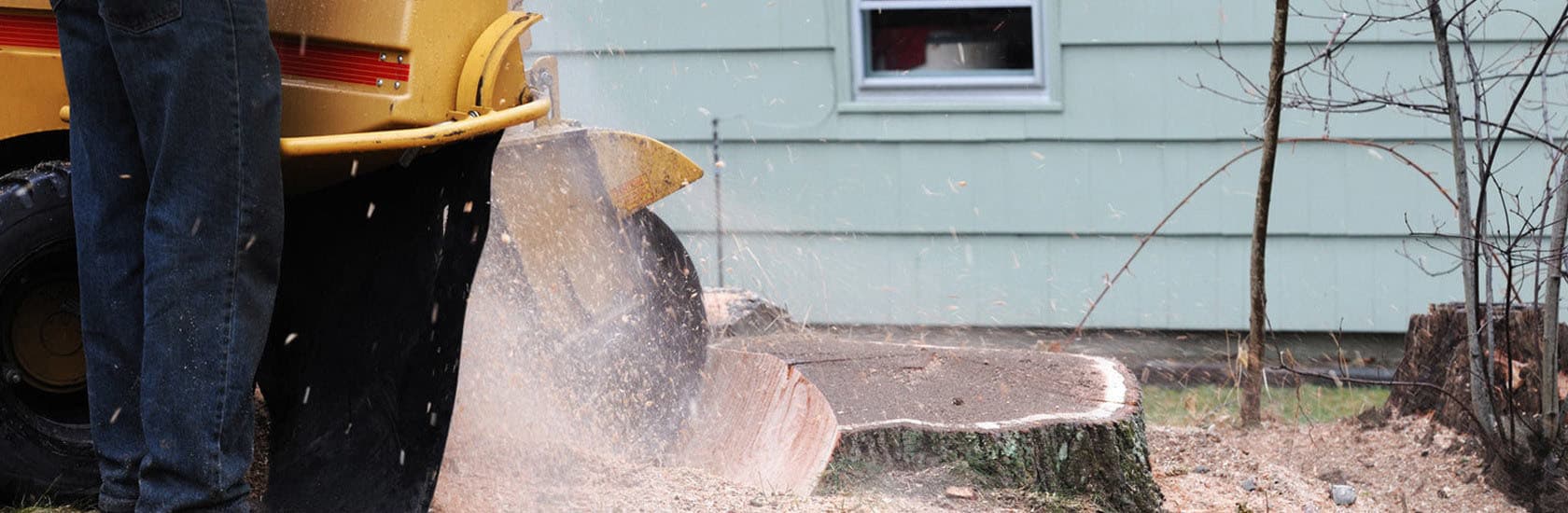 Stump Grinding Auckland