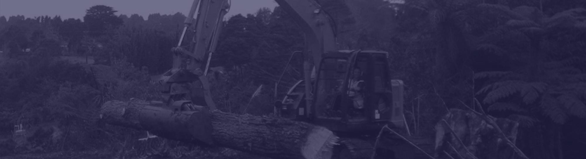 Large orange digger with a claw bucket lifting a massive piece of timber in the middle of a field surrounded by nature