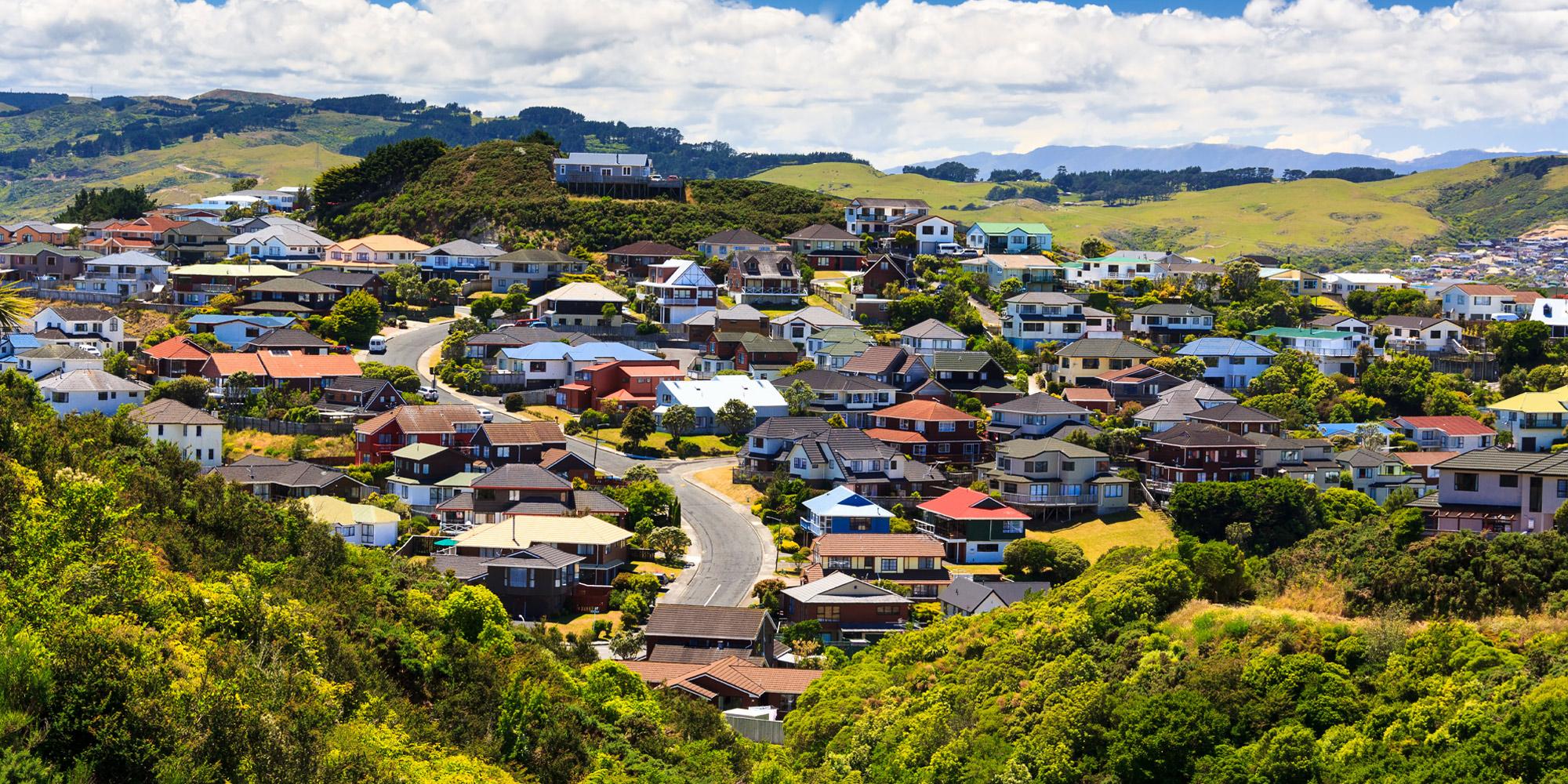 Green Hamilton hills suburb with all kinds of houses both new and old with a range of colourful roofs viewed from a hill covered in bush