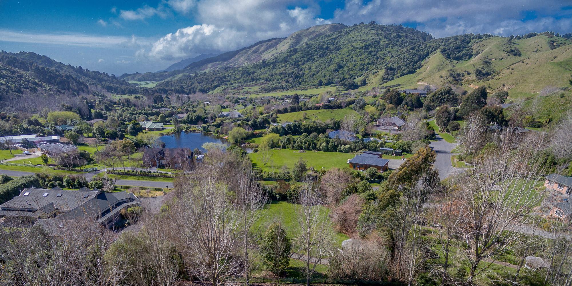 Full neighbourhood of lifestyle properties with massive houses, backyards, and plenty of trees
