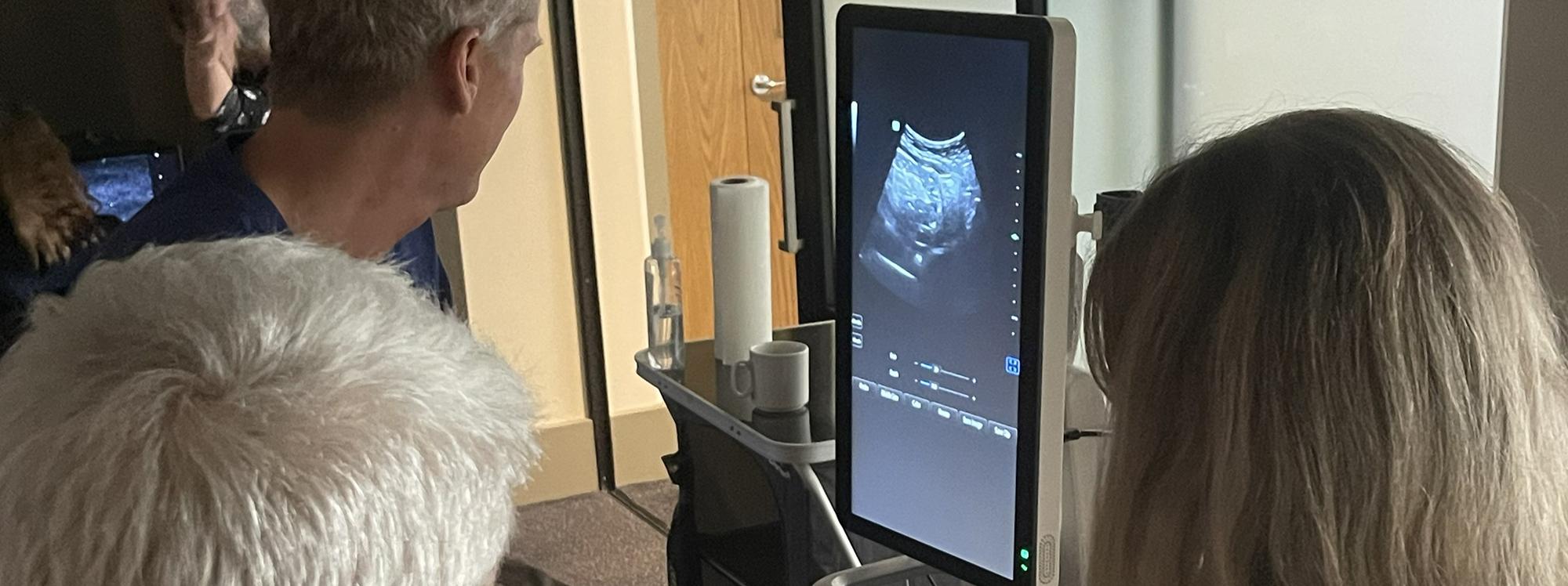 POCUS workshop in progress